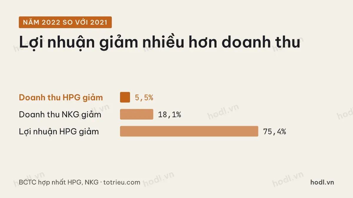 Cổ phiếu thép chu kỳ: doanh thu và lợi nhuận năm 2022 so với 2021