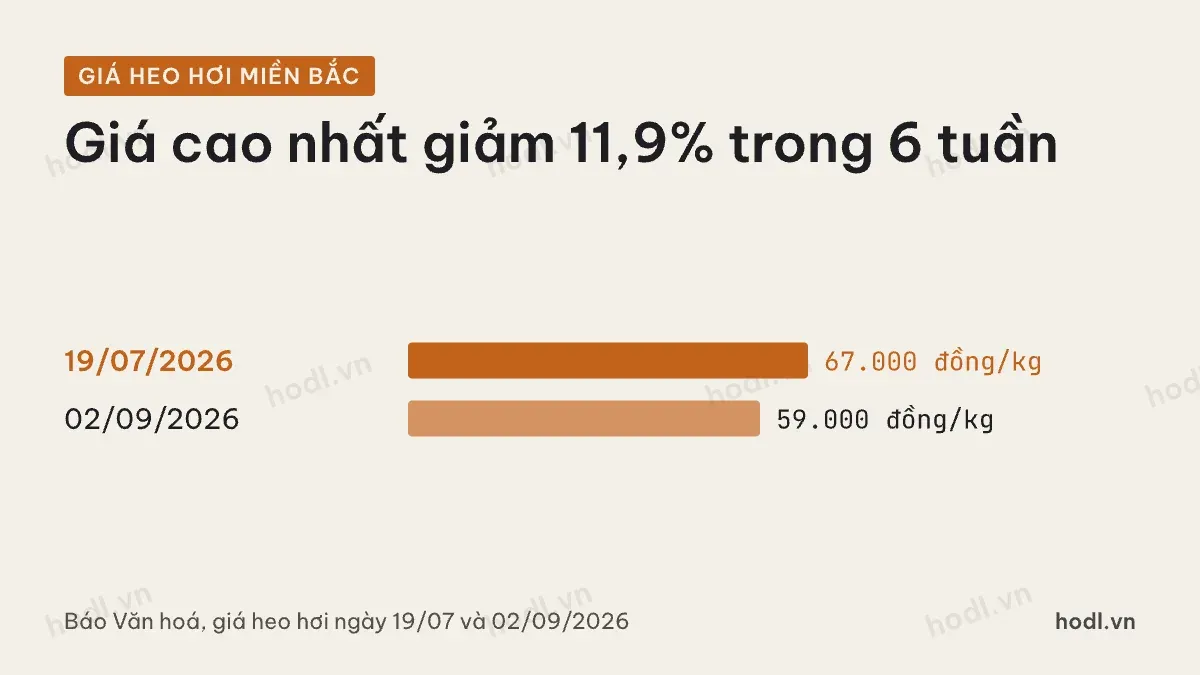 Cổ phiếu chăn nuôi: giá heo hơi miền Bắc tháng 7 và tháng 9 năm 2026