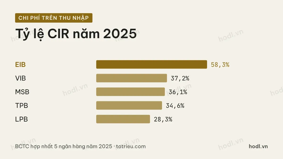 Chi phí trên thu nhập khi định giá cổ phiếu EIB