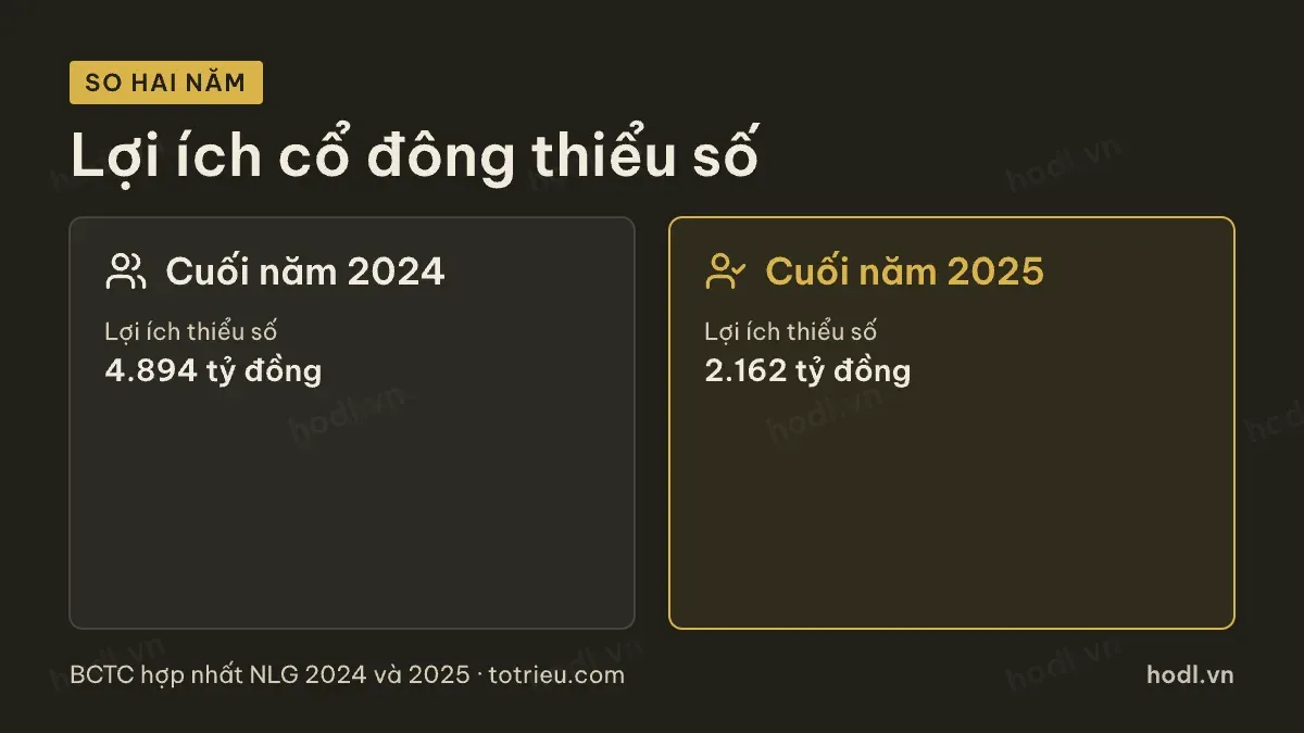 Lợi ích cổ đông thiểu số của cổ phiếu NLG giảm mạnh