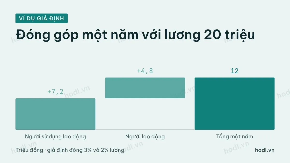 Ví dụ giả định đóng góp một năm của người sử dụng lao động và người lao động
