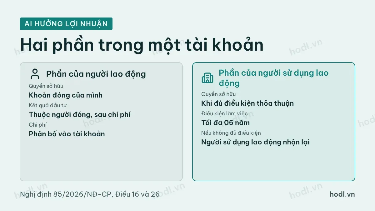 So sánh quyền hưởng lợi nhuận giữa phần của người lao động và phần của người sử dụng lao động