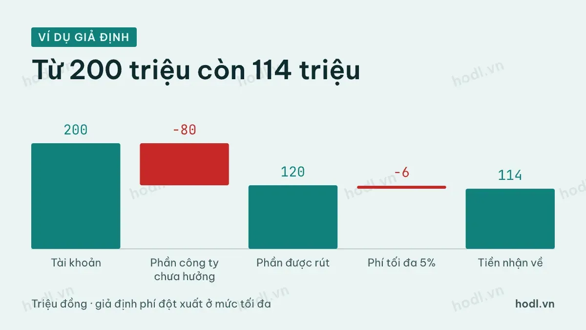 Ví dụ giả định rút tiền sớm quỹ hưu trí khi chưa đủ điều kiện hưởng phần của người sử dụng lao động