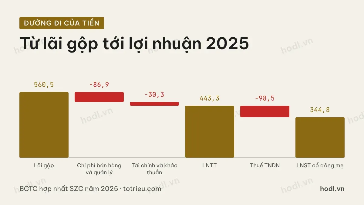 Đường đi lợi nhuận năm 2025 của cổ phiếu SZC