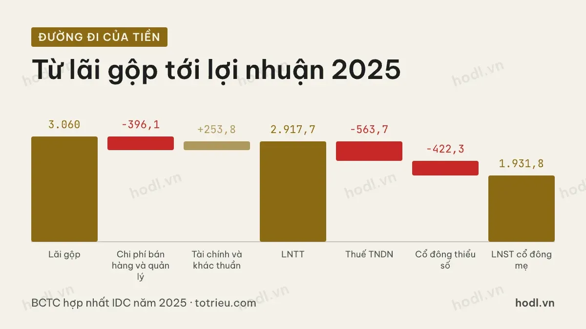 Đường đi lợi nhuận năm 2025 của cổ phiếu IDC