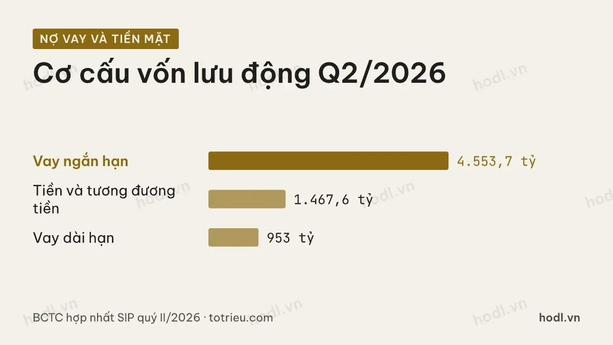Cơ cấu nợ vay và tiền mặt của cổ phiếu SIP