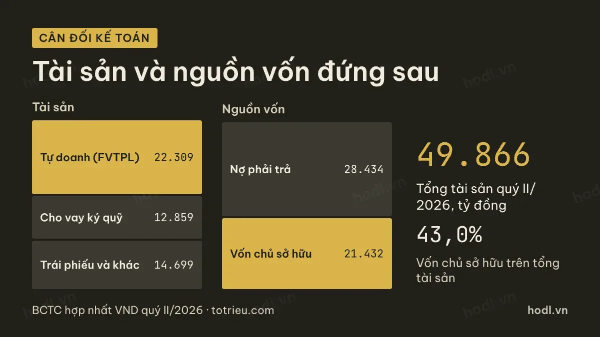 Cân đối kế toán đứng sau cổ phiếu VND