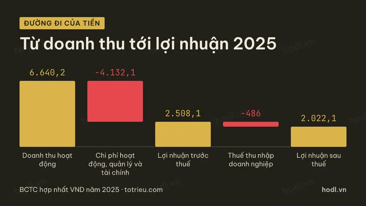 Đường đi của lợi nhuận cổ phiếu VND năm 2025
