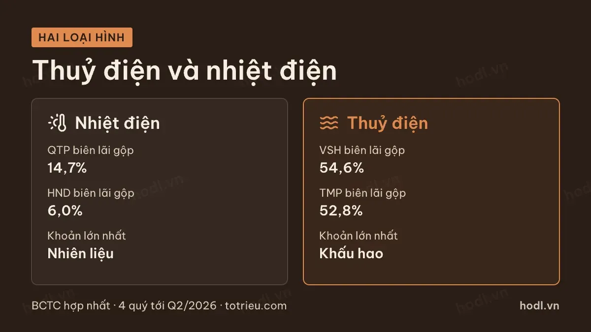 Biên lãi gộp của thuỷ điện và nhiệt điện khi đọc báo cáo doanh nghiệp điện