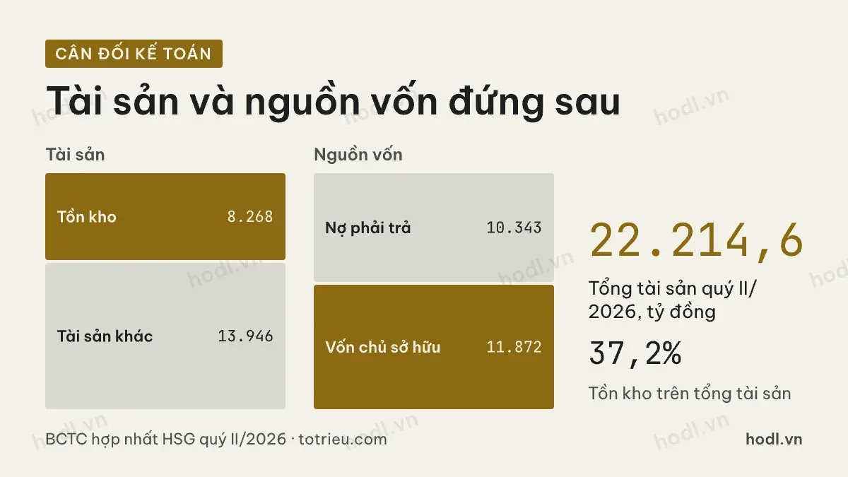 Quy mô tài sản đứng sau cổ phiếu HSG