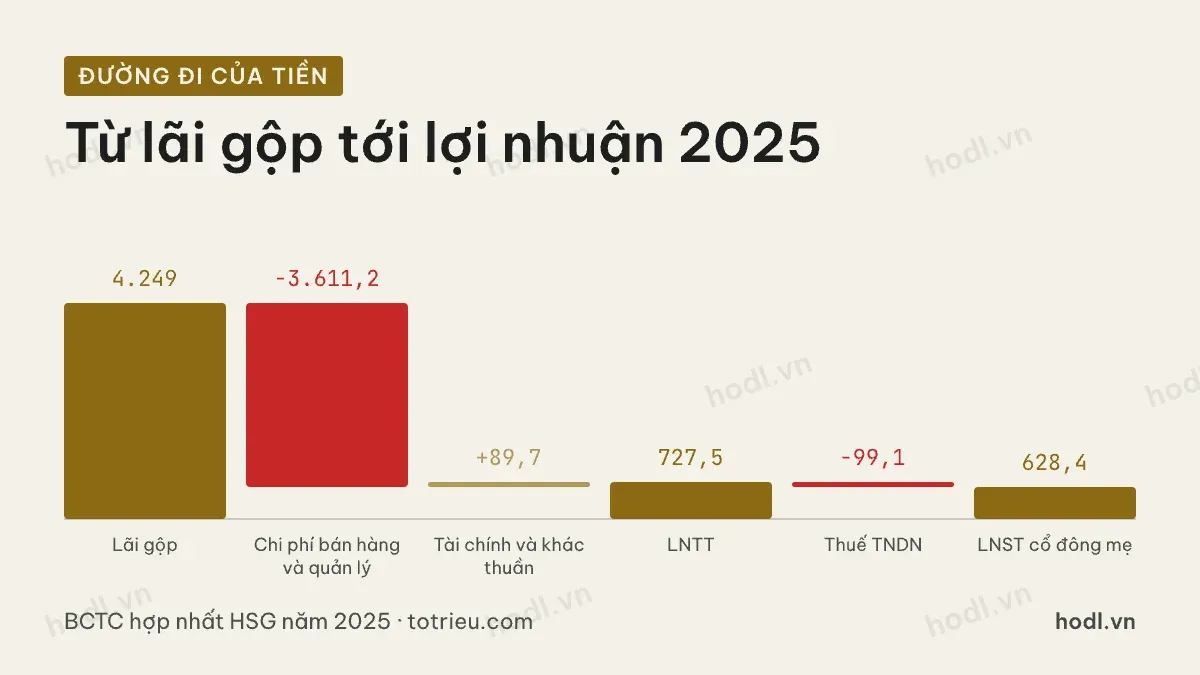 Đường đi lợi nhuận năm 2025 của cổ phiếu HSG