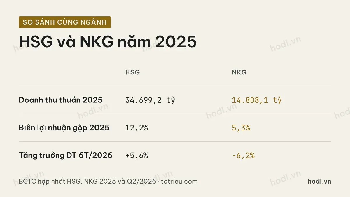 So sánh cổ phiếu HSG và NKG năm 2025