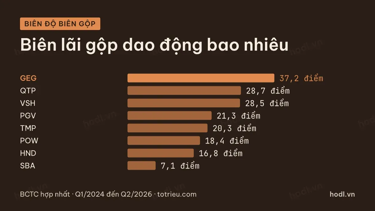 Biên độ biên lãi gộp theo quý của tám doanh nghiệp điện