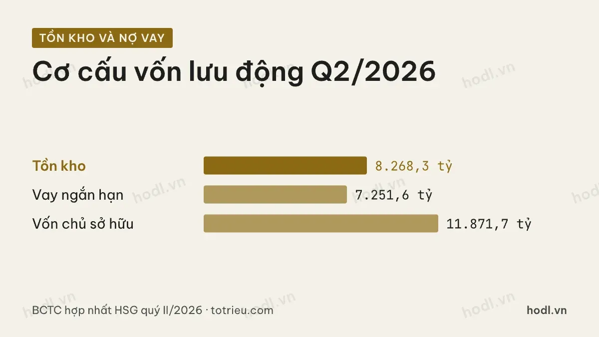 Tồn kho và nợ vay ngắn hạn của cổ phiếu HSG