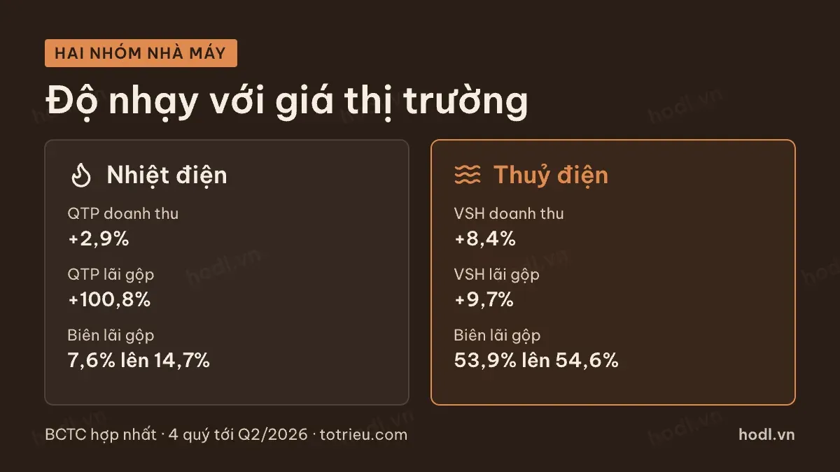 Hai nhóm nhà máy có độ nhạy khác nhau với thị trường phát điện cạnh tranh