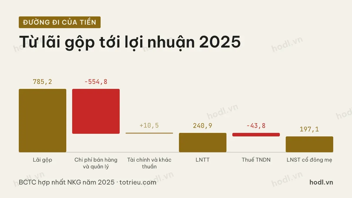 Đường đi lợi nhuận năm 2025 của cổ phiếu NKG