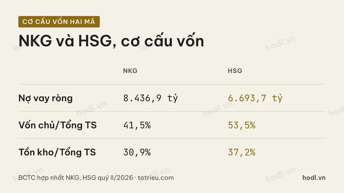 So sánh cơ cấu vốn cổ phiếu NKG và HSG