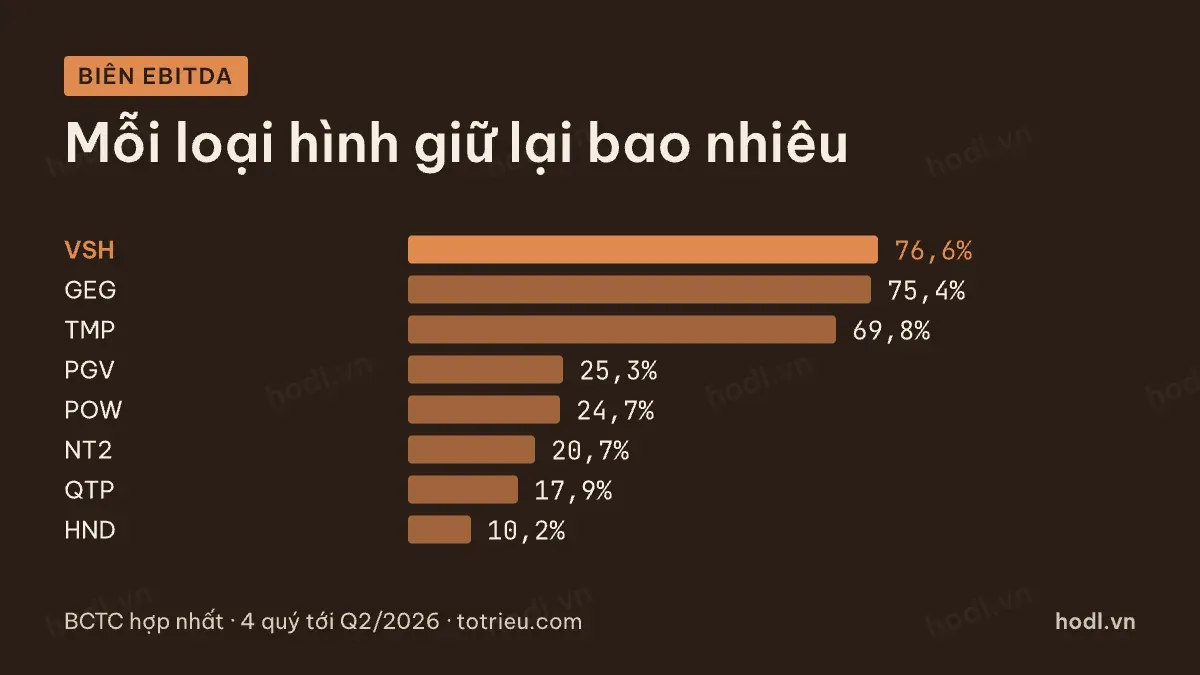 Biên EBITDA của tám doanh nghiệp điện theo loại hình