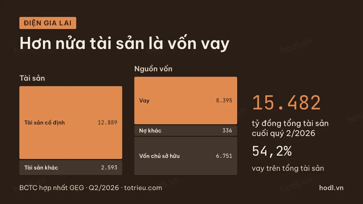 Cơ cấu vốn của doanh nghiệp điện tái tạo có nhiều khoản vay