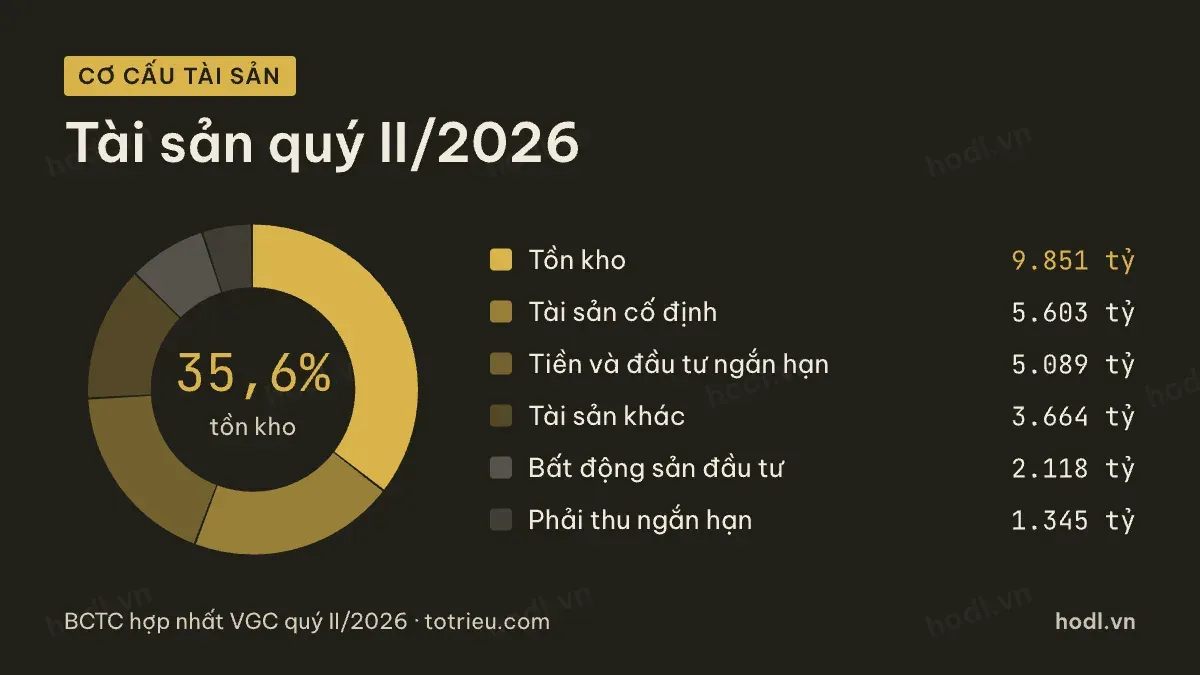 Cơ cấu tài sản của cổ phiếu VGC