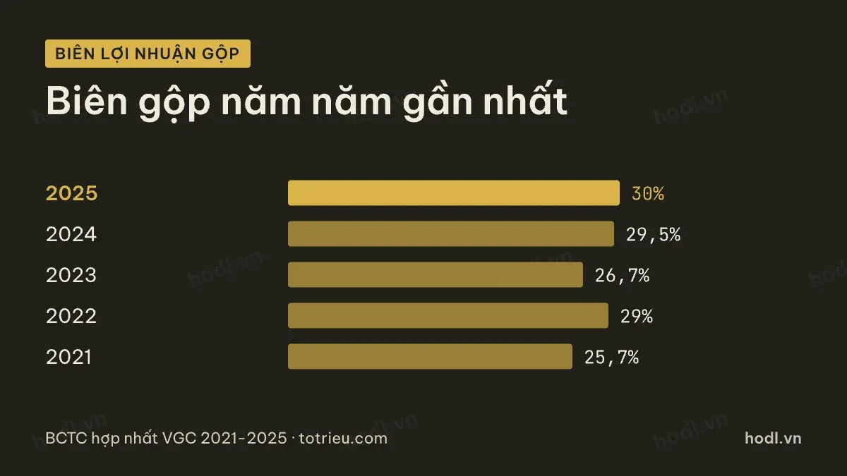 Biên lợi nhuận gộp khi định giá cổ phiếu VGC