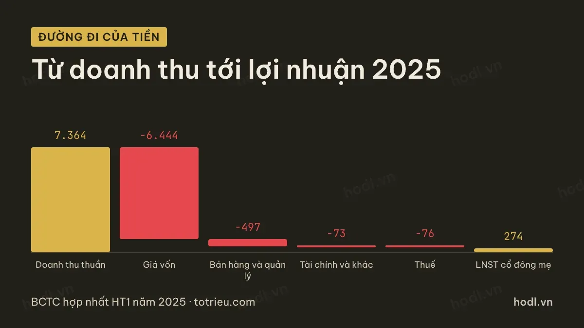 Từ doanh thu tới lợi nhuận của cổ phiếu HT1