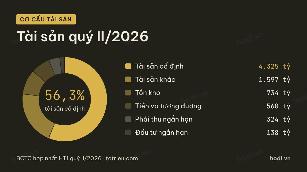 Cơ cấu tài sản của cổ phiếu HT1