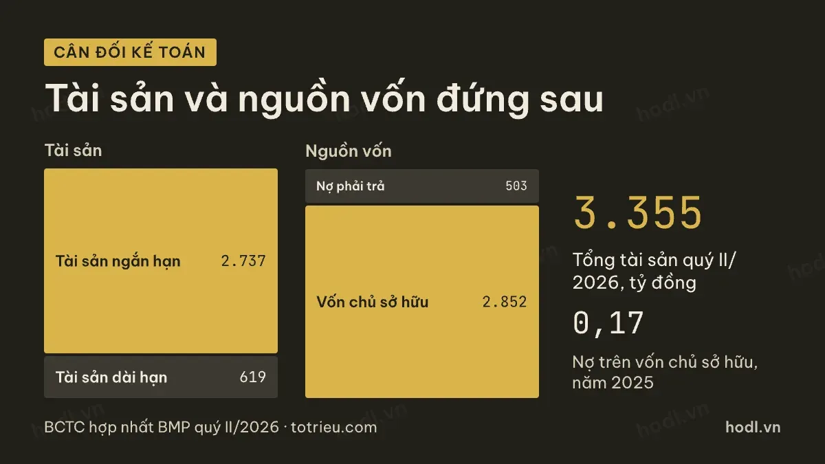 Quy mô tài sản đứng sau cổ phiếu BMP