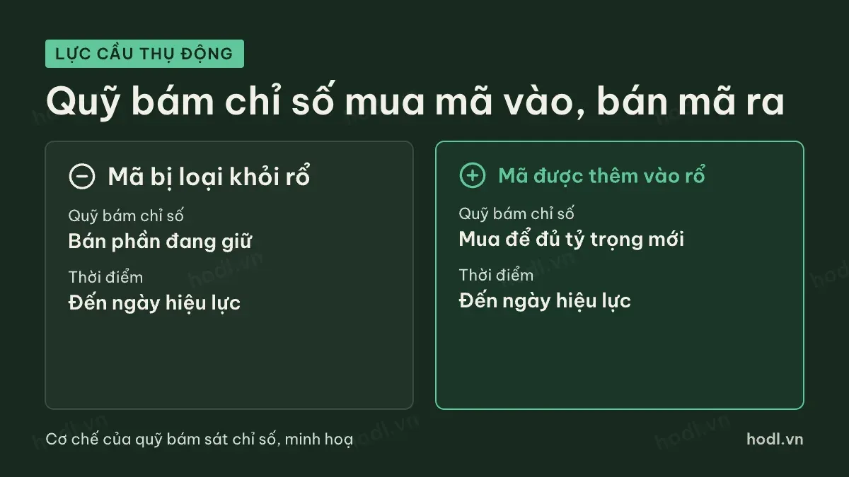 Mã được thêm và mã bị loại chịu lực khác nhau khi cơ cấu rổ chỉ số