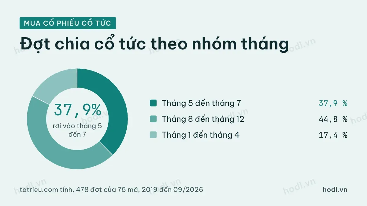 Mua cổ phiếu cổ tức: tỷ lệ đợt chia theo nhóm tháng