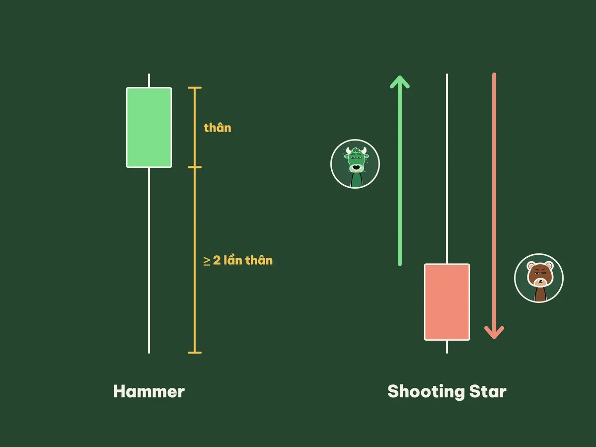 Nến Hammer râu dưới dài gấp đôi thân và Shooting Star phe Bò đẩy lên, phe Gấu đạp xuống