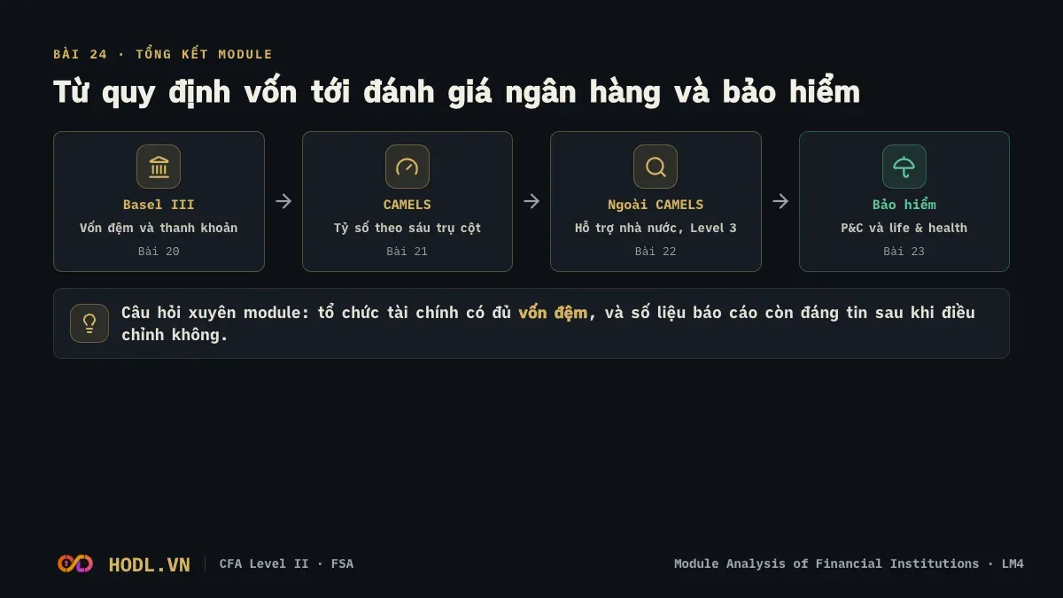 Sơ đồ module Analysis of Financial Institutions: từ quy định vốn tới đánh giá ngân hàng và bảo hiểm