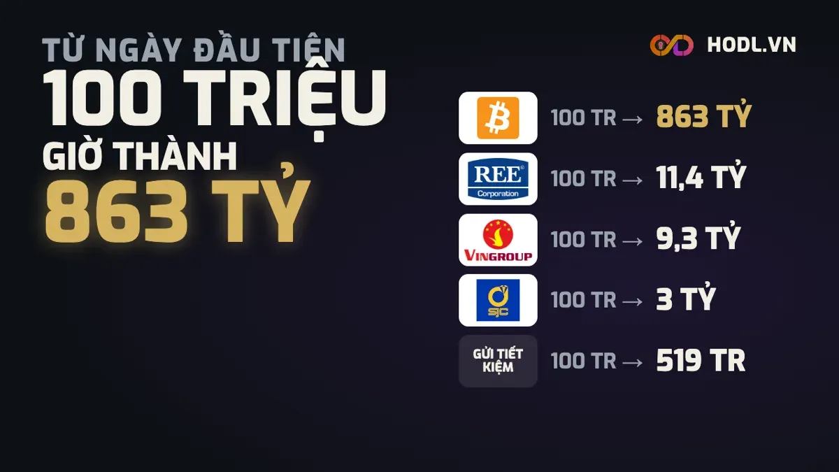 100 triệu đầu tư từ ngày đầu tiên vào vàng SJC, Bitcoin, gửi tiết kiệm, REE và VIC