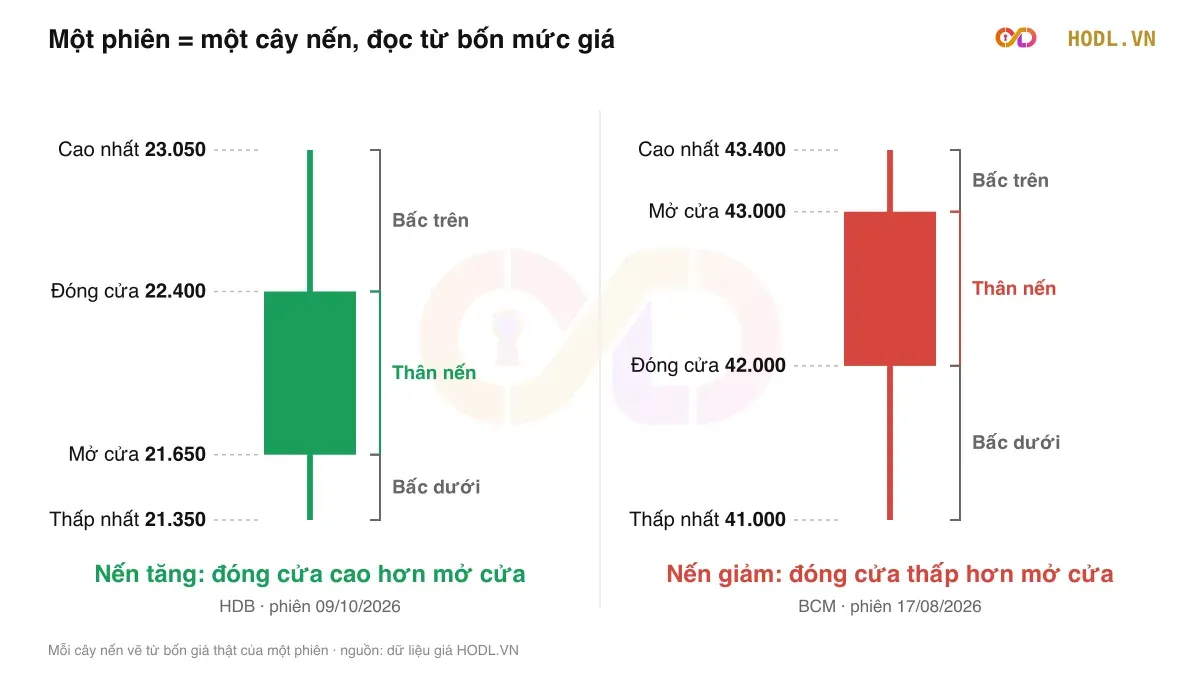 Cây nến Nhật đọc thế nào