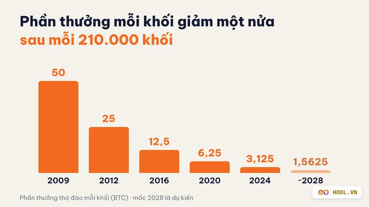 Phần thưởng mỗi khối giảm một nửa sau mỗi 210.000 khối, từ 50 BTC xuống 1,5625 BTC dự kiến quanh năm 2028