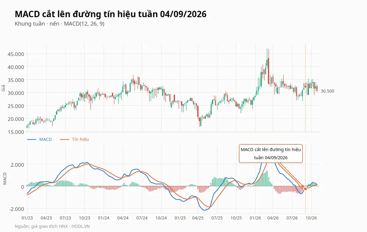 MACD tuần của PVS cắt lên đường tín hiệu tuần 04/09/2026