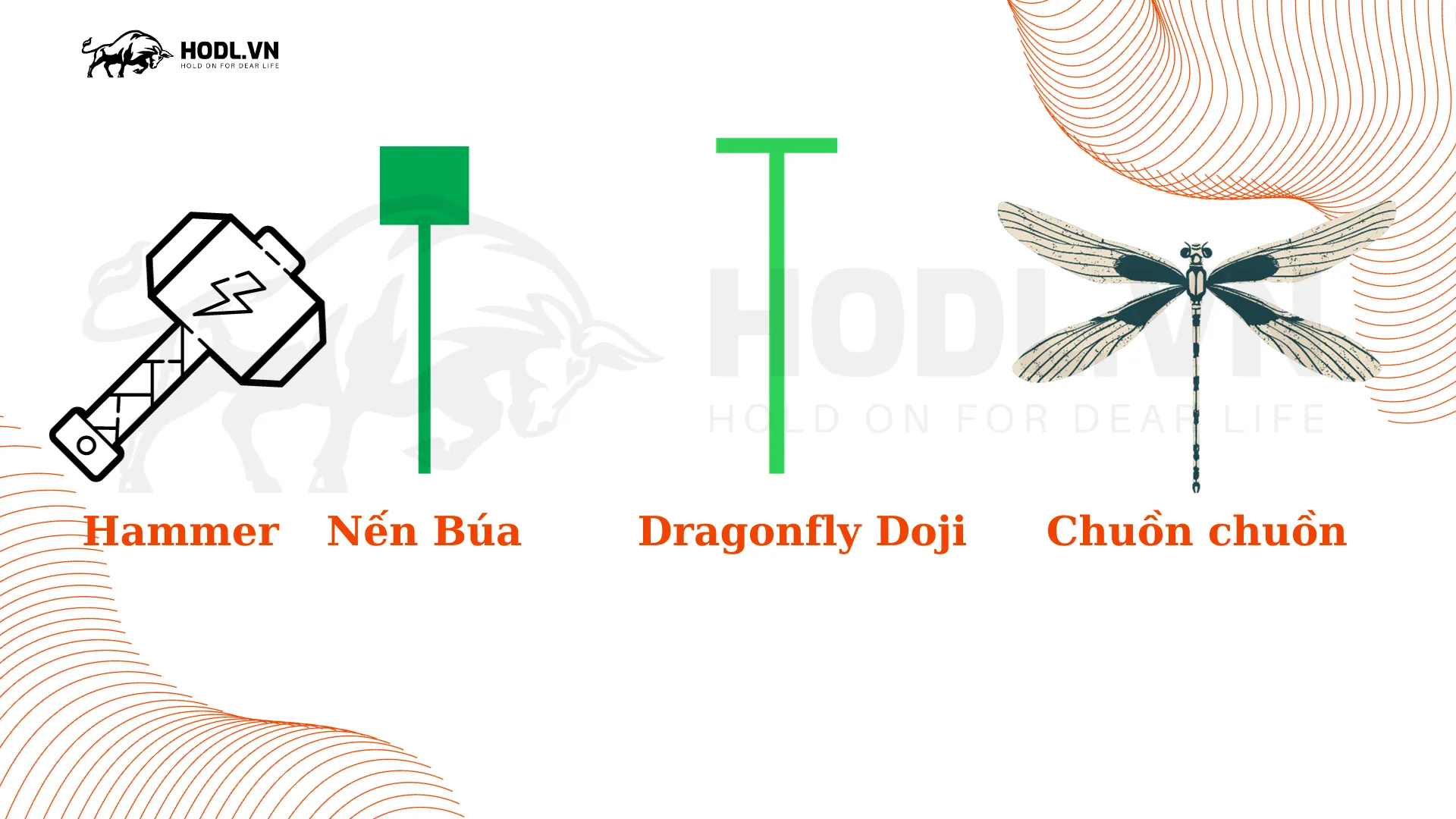 Nến Hammer và Dragonfly Doji (Doji chuồn chuồn)