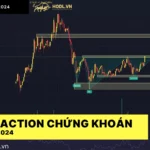 Top #5 Price Action thực chiến chứng khoán Việt Nam tuần 08-2024 (19 - 25/02)