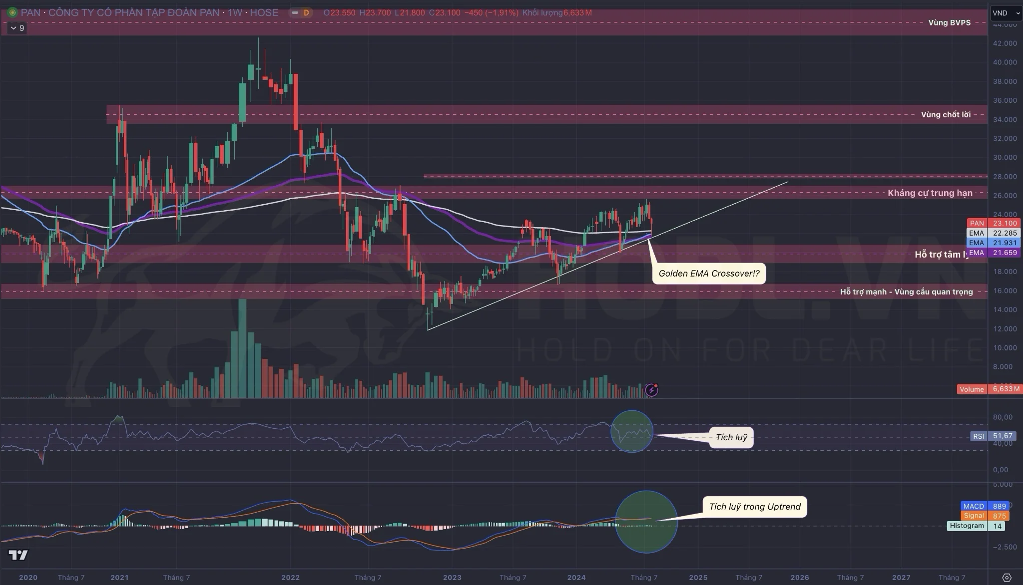 Định giá kỹ thuật cổ phiếu PAN 2024: MACD & RSI