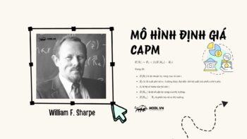 Mô hình định giá chứng khoán CAPM - William F. Sharpe