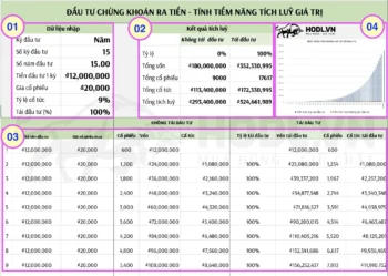 File Excel tính tích luỹ cổ phiếu và vốn hiệu quả