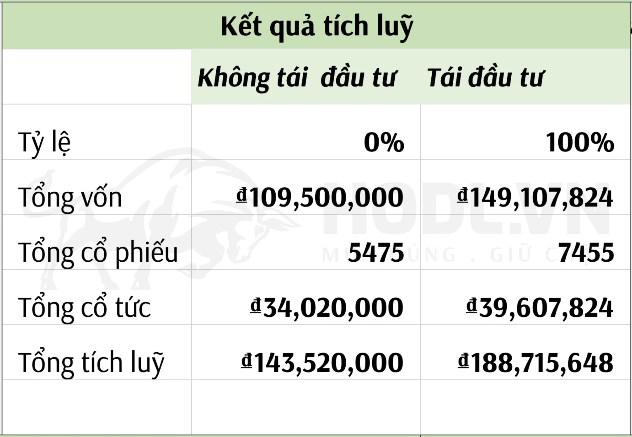 Kết quả File Excel tính tự động số cổ phiếu tích luỹ và tổng vốn