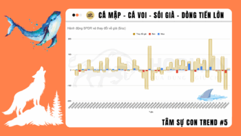 Tâm sự Con Trend 05: Cá mập, cá voi, Sói già và dòng tiền lớn